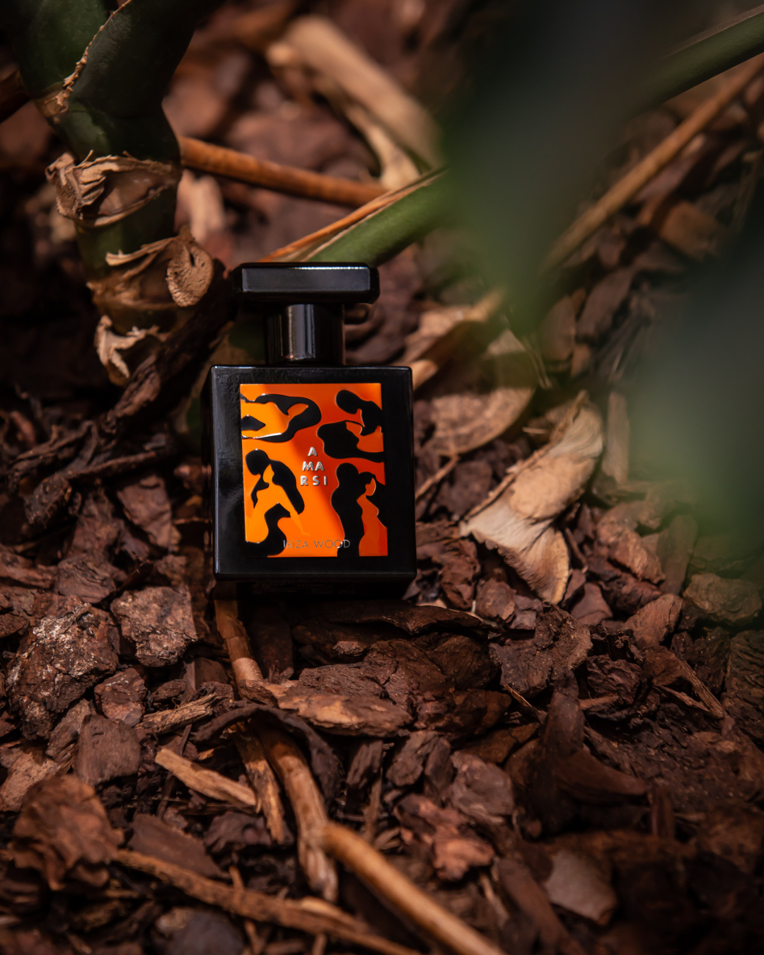 בושם יוניסקס בניחוח קייצי- IBIZA WOOD