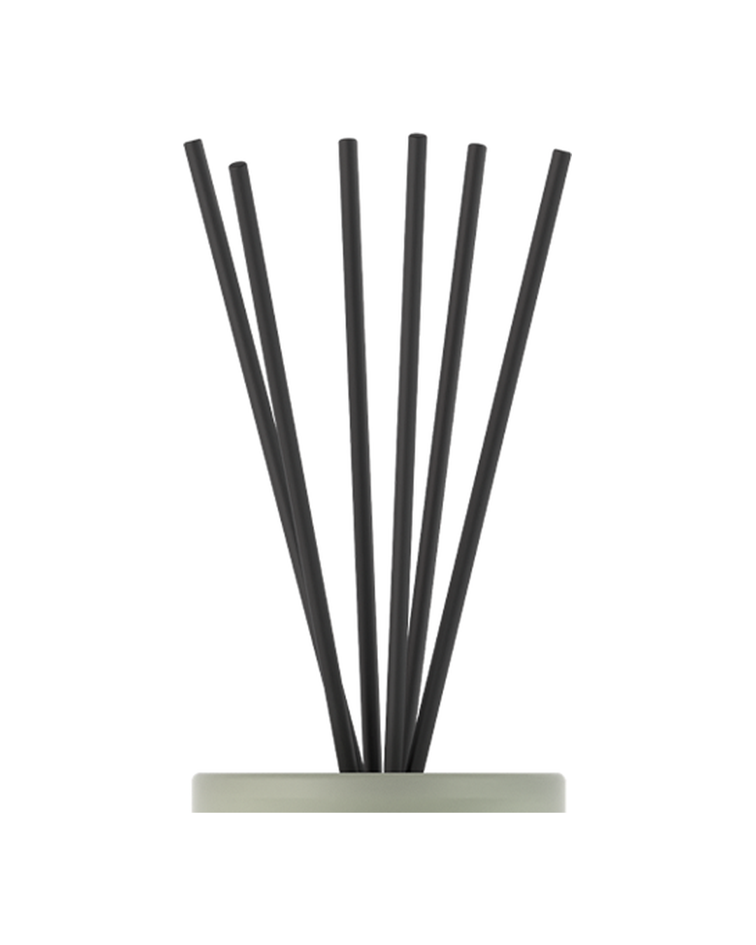 Reed detail