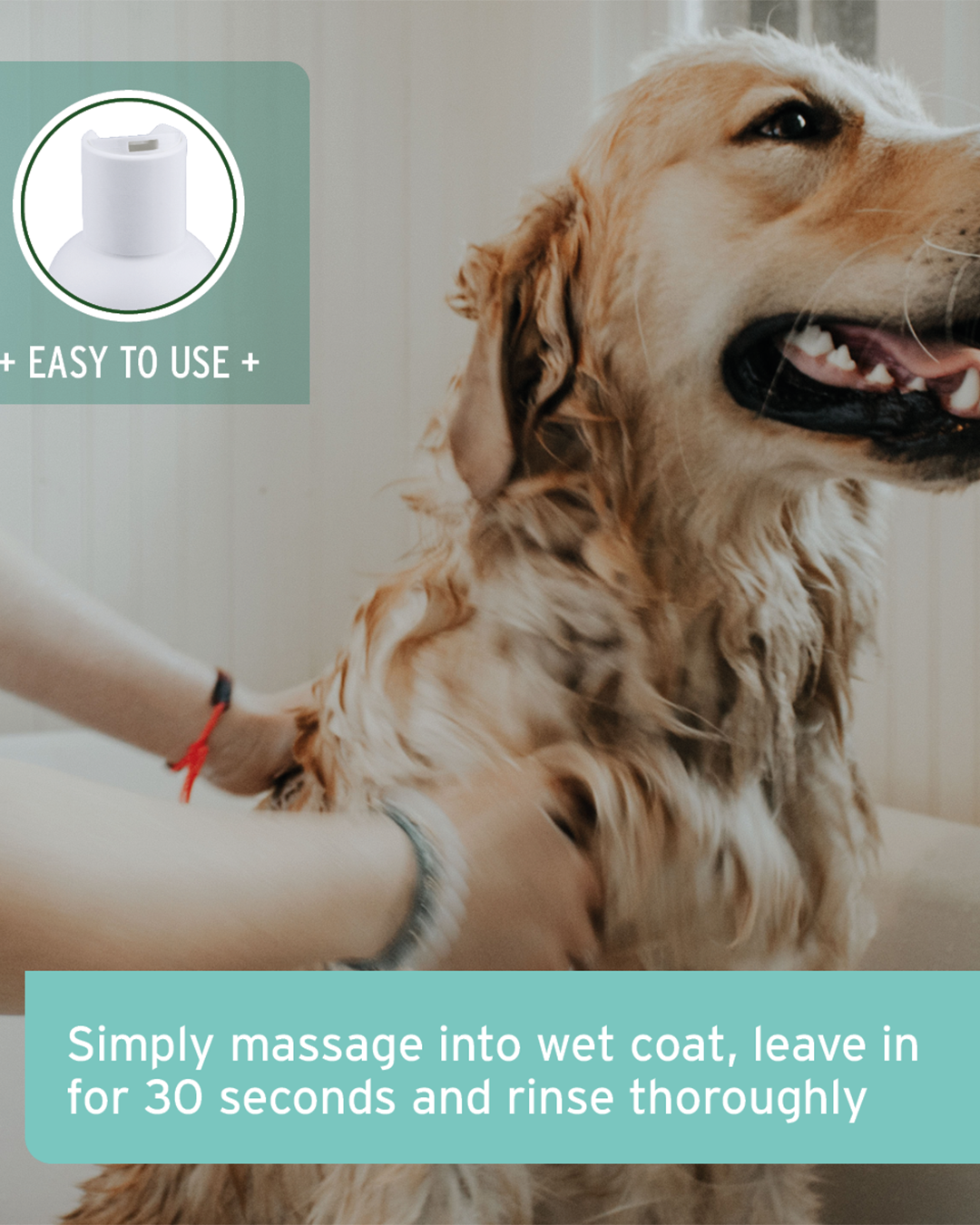 שמפו נים לכלבים