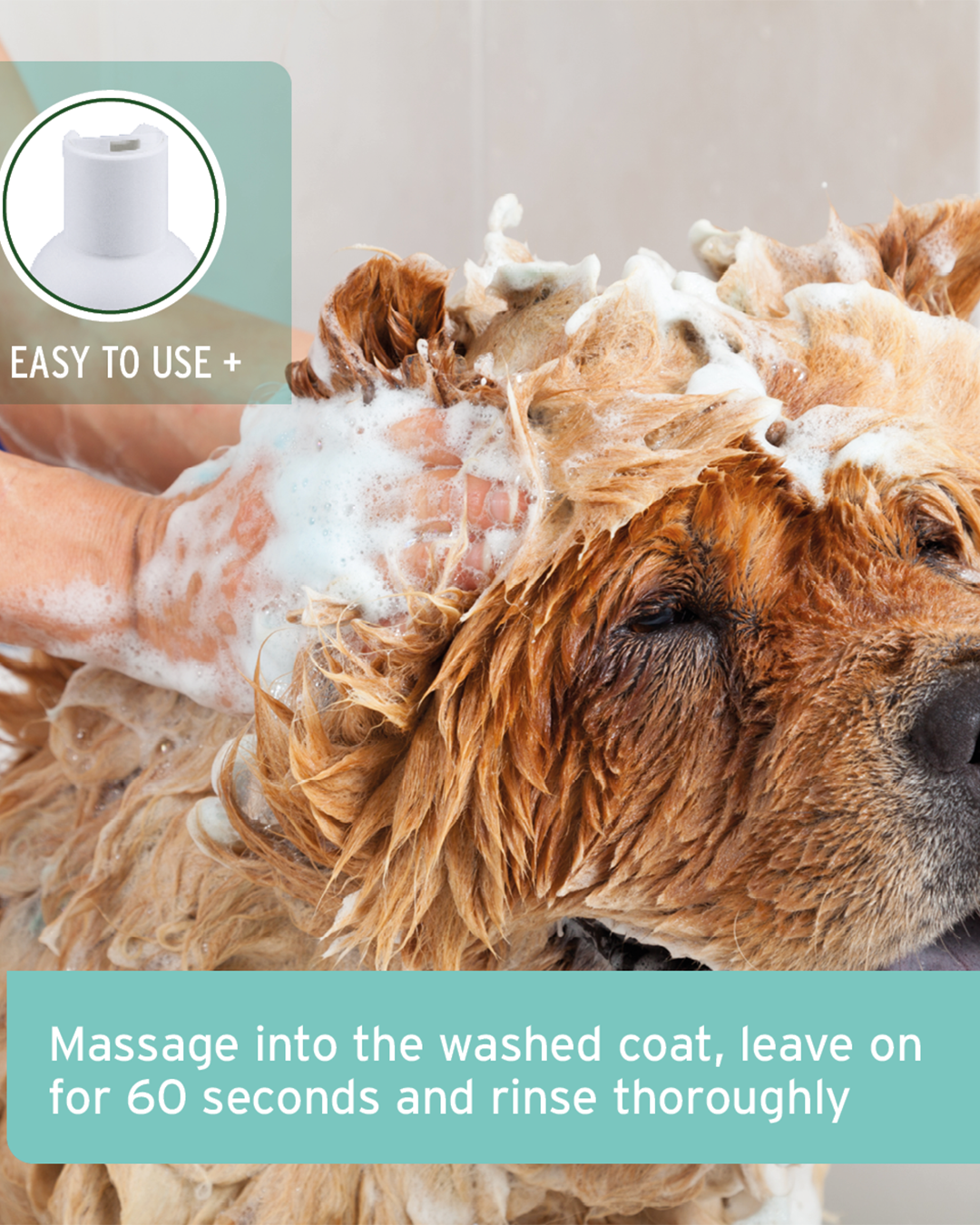 שמפו קוקוס לכלבים