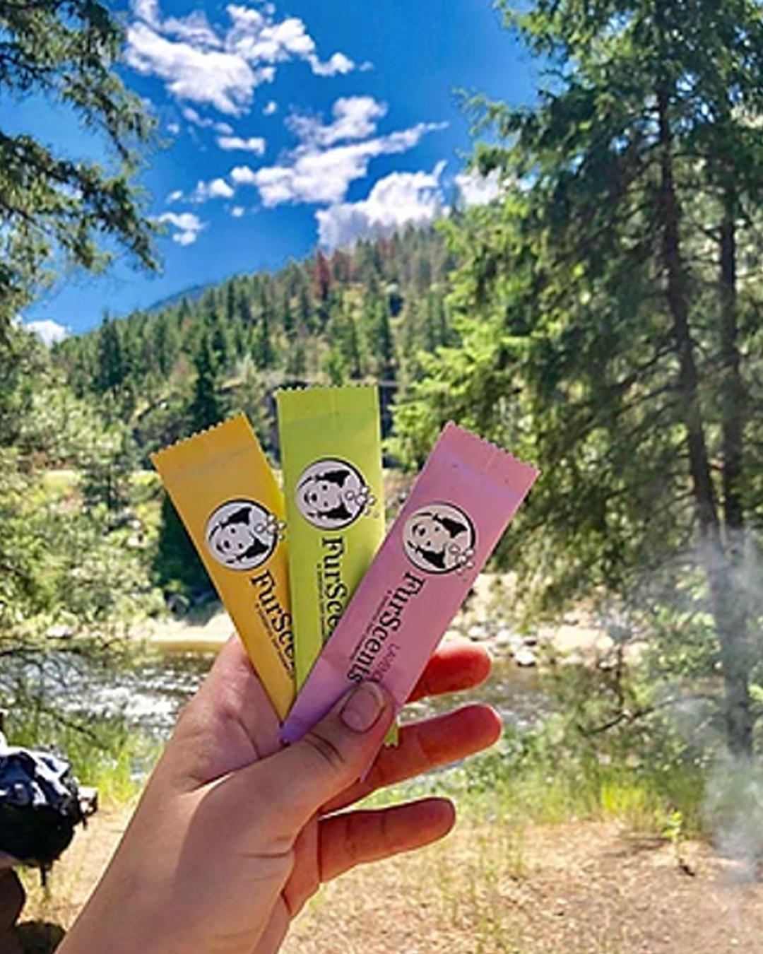 נוחות לטיולים, מושלמות לשמירה על הניקיון והרעננות של פרוות הכלב בכל מקום FurScents חבילות שמפו יבש לכלב