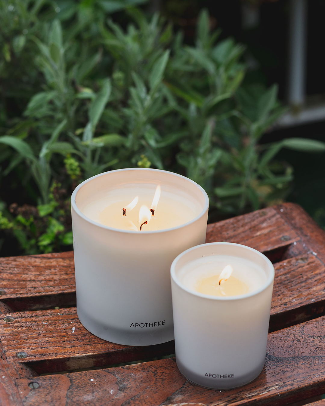 Scented Candle 3 Wicks - Apricot Red Currant