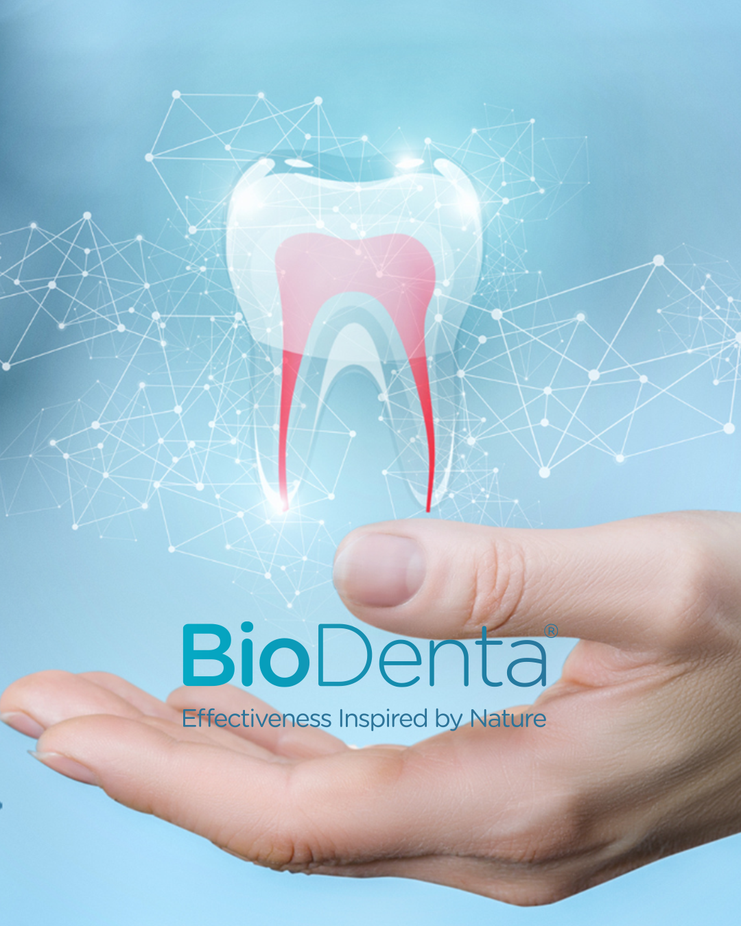 דימוי ממוחשב של שן בתוך כף יד כחולה, מסמלת את יעילות הפחם