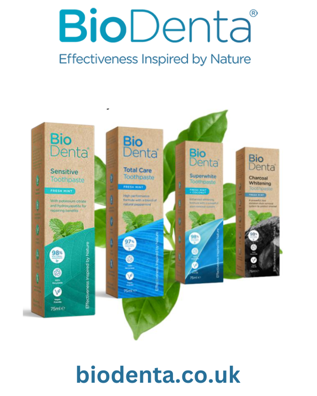 חבילת מוצרים עם משחת שיניים פחם, סוגים שונים לטיפוח שיניים