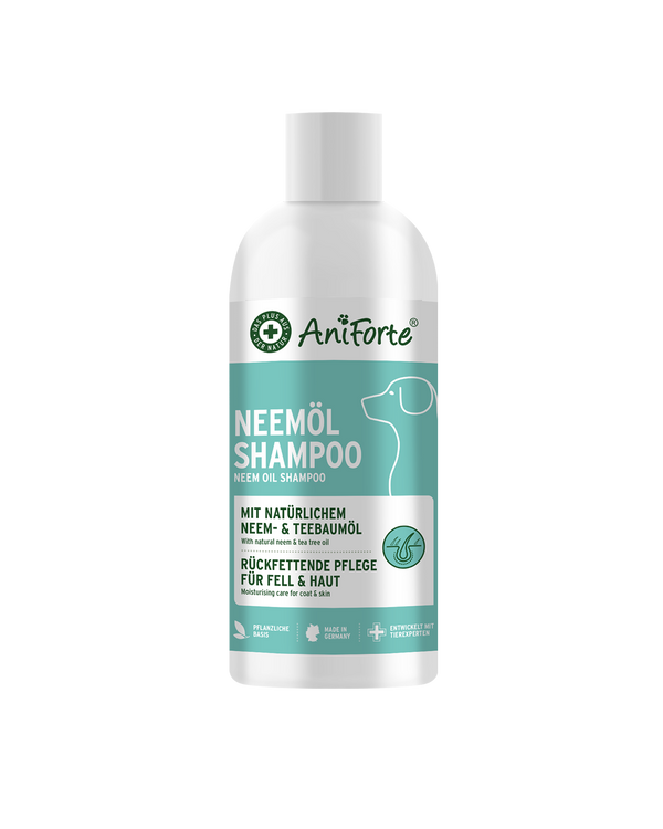 שמפו לכלבים