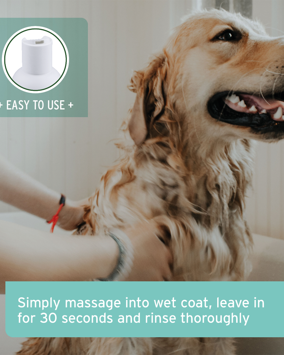 שמפו לכלבים רגישים